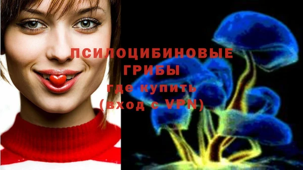 ALPHA PVP Алзамай