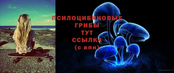 дмт Абаза